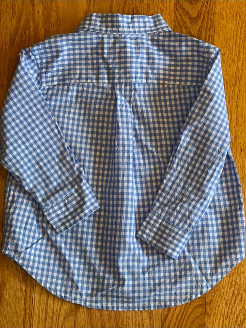 🐎 Ralph Lauren Blue Gingham Button-Down Shirt for 18 months